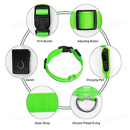 Dog Collar with a Light, USB Rechargeable & Waterproof Glow