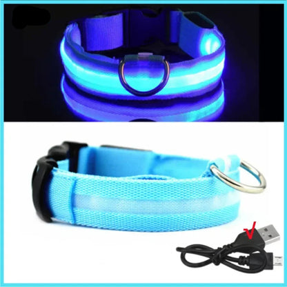 Dog Collar with a Light, USB Rechargeable & Waterproof Glow
