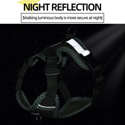 Dog Leash Harness Set for Small Dogs, Secure Fit 4-point Adjustment, Reflective All-Season Breathable Mesh Vest