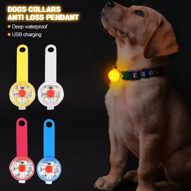 Light for a Dog Collar: Weatherproof USB Rechargeable LED