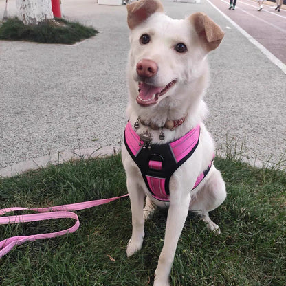 Heavy Duty Dog Harness with Handle. Padded Reflective No Pull Vest for Medium Large Dogs like Pitbull, Shepherd