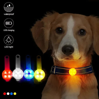 Light for a Dog Collar: Weatherproof USB Rechargeable LED