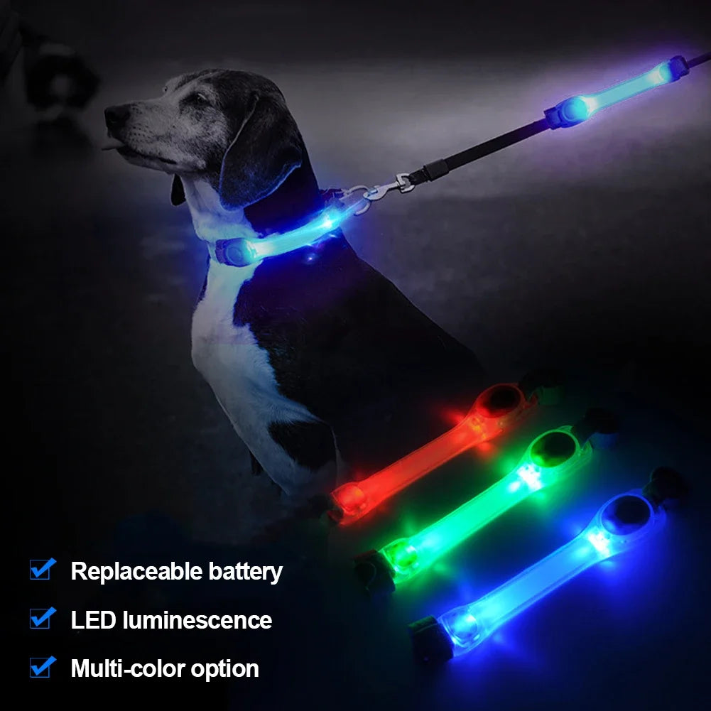 Glow in the Dark Dog Collar: Waterproof LED Safety Light