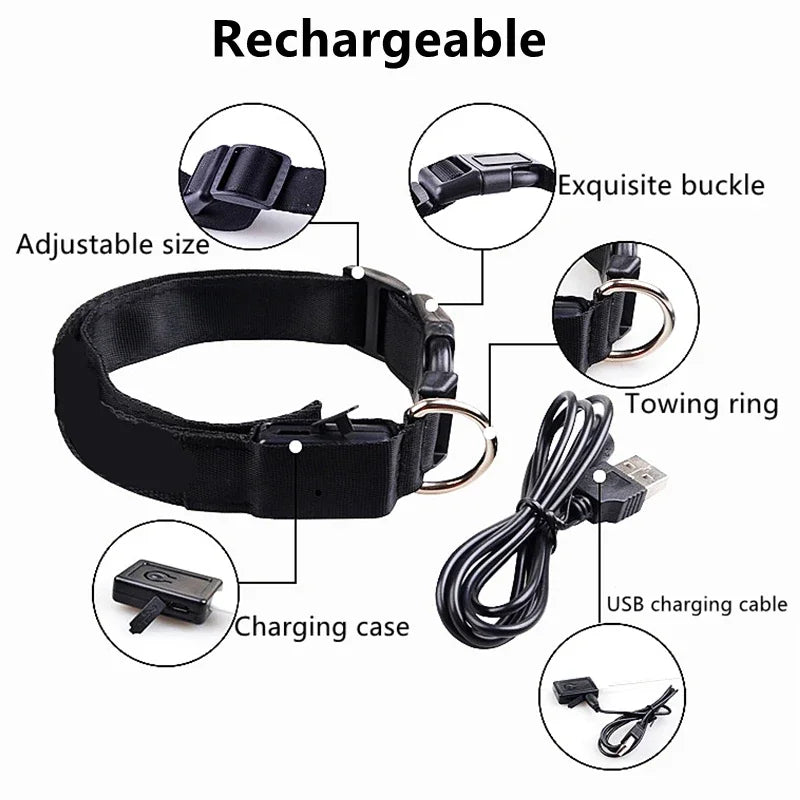 Dog Collar with a Light, USB Rechargeable & Waterproof Glow