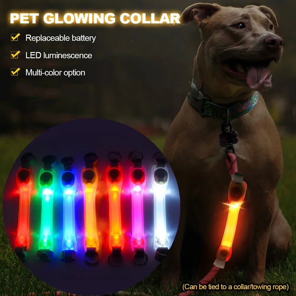 Glow in the Dark Dog Collar: Waterproof LED Safety Light