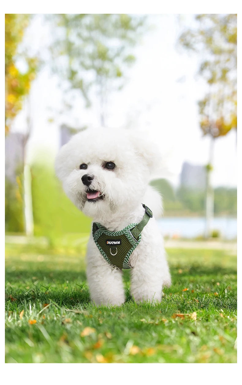 Dog Leash Harness Set for Small Dogs, Secure Fit 4-point Adjustment, Reflective All-Season Breathable Mesh Vest