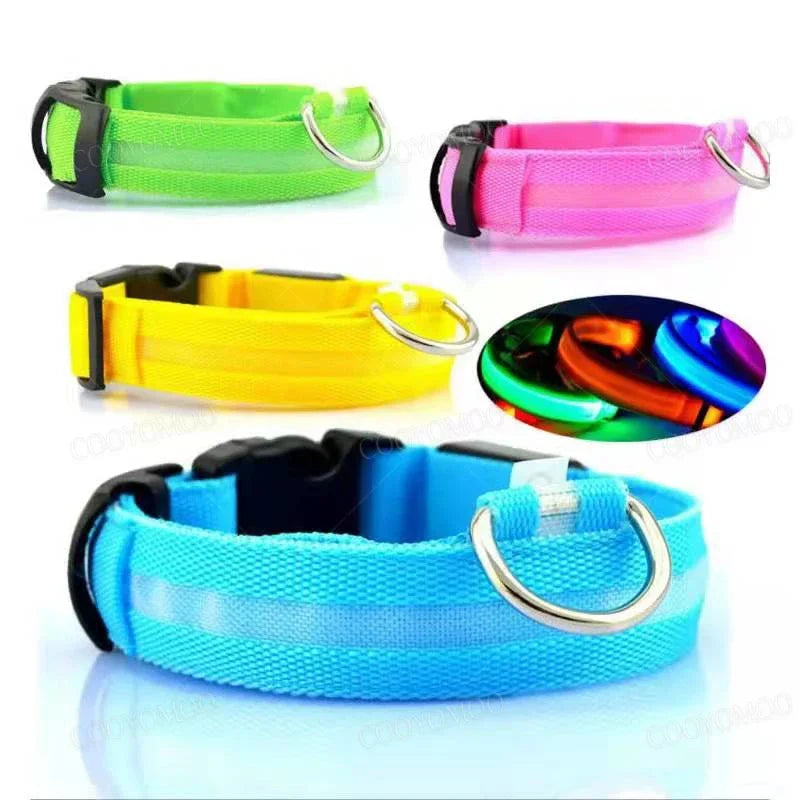 Dog Collar with a Light, USB Rechargeable & Waterproof Glow