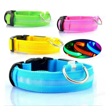 Dog Collar with a Light, USB Rechargeable & Waterproof Glow