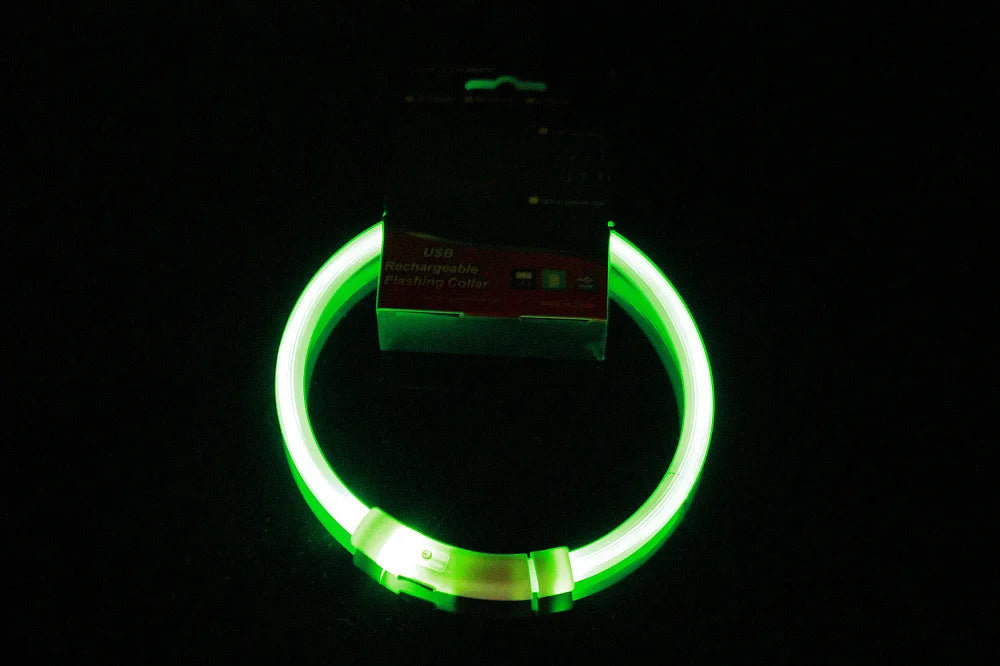 Light Up Dog Collar: USB Rechargeable, Glowing Night Safety