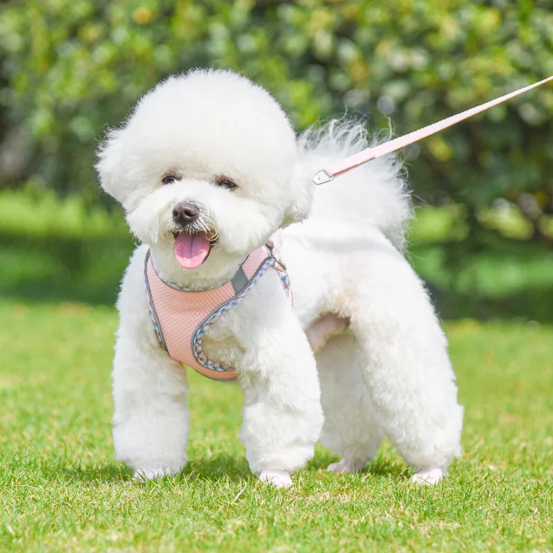 Dog Lead and Harness Set | Reflective Plaid Vest for Small Medium Dogs - Outdoor Walking Accessories for Chihuahua, Pomeranian