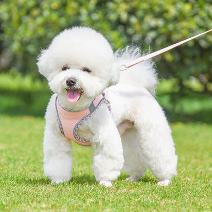 Dog Lead and Harness Set | Reflective Plaid Vest for Small Medium Dogs - Outdoor Walking Accessories for Chihuahua, Pomeranian