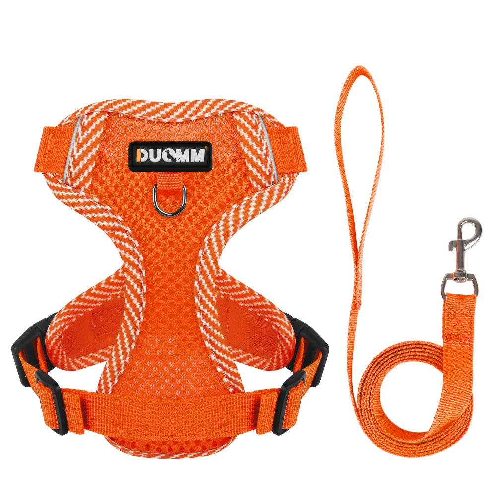 Dog Leash Harness Set for Small Dogs, Secure Fit 4-point Adjustment, Reflective All-Season Breathable Mesh Vest