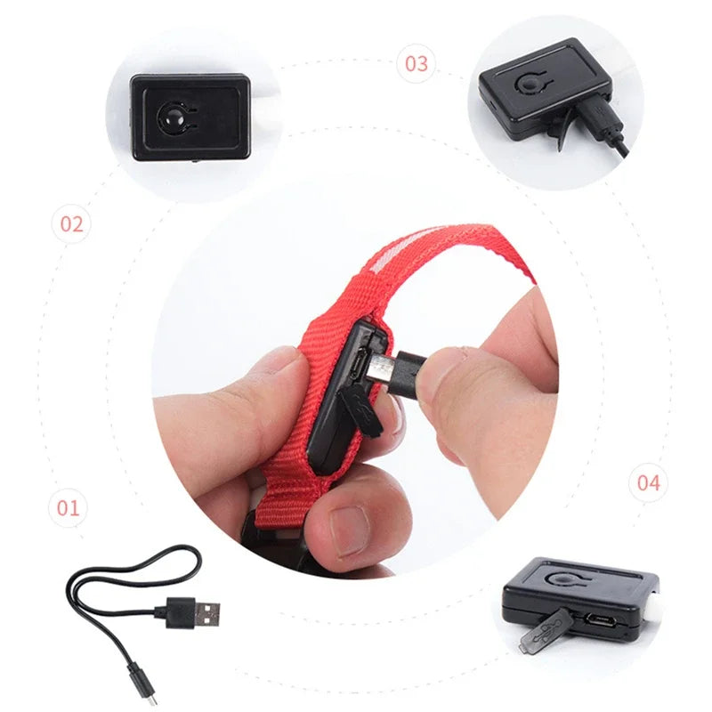 Dog Collar with a Light, USB Rechargeable & Waterproof Glow