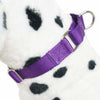 Martingale Dog Collar Premium Safety Training Dog Martingale Collar High-quality Heavyduty Nylon