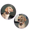 Halloween Bowties Dog-Accessories Collar Halloween-Decoration-Products Puppy Pumpkin