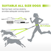 Dog-Leash Hand-Freely Reflective Dogs Nylon Adjustable Walking Small Running Elasticity