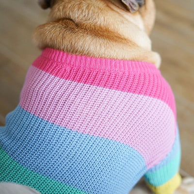 Rainbow Sweater Bulldogs French Winter for MPK