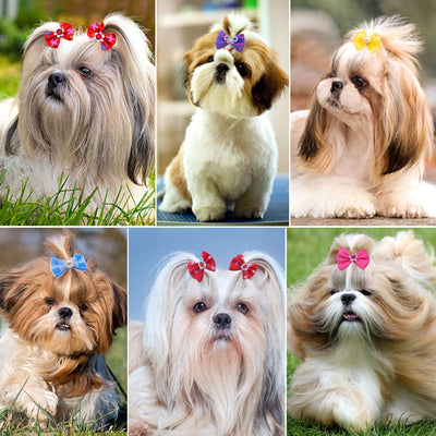 Pet-Hair-Bows Hair-Accessories Dog-Grooming-Bows Pet-Shop Pearls-Style New Diamond