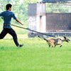 Bungee for Dog Leash Hands-Free Retractable Running Reflective Dogs Dual-Handle Large