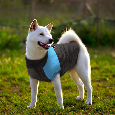 Coat Jacket Dog Clothing Labrador French-Bulldog Golden Retriever Winter Large for Ropa