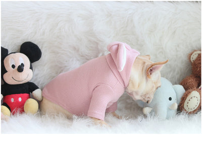 Sweater Dog 7-Sizes-Available MPK Store Ear Rabbit And New