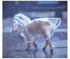 HOOPET Dog Raincoat Waterproof Transparent Small with Hood Light