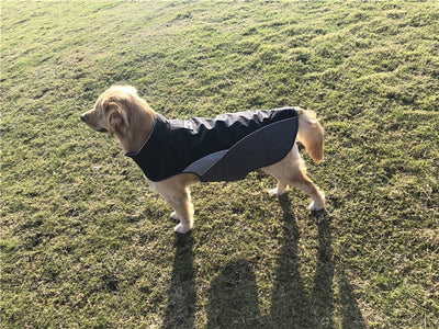 Dog Winter Coat Puppy-Clothing Pet-Jacket Dogs-Pitbull French Bulldog Reflective Waterproof