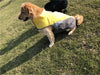 Dog Winter Coat Puppy-Clothing Pet-Jacket Dogs-Pitbull French Bulldog Reflective Waterproof