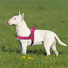 Harnesses Vest Reflective No-Pull-Strap Dogs Training Small Walking Soft Pet-Dog Nylon