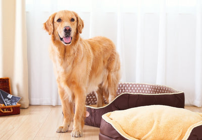 Warm Bed House Kennel Sofa Dog-Bed Pet-Dog Soft-Fleece Extra Large All-Seasons Double-Sided-Available