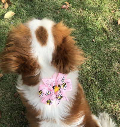 Bow-Ties Pet-Supplies Dog-Accessories Dog-Grooming Bowknot Flower Puppy Adjustable Cute
