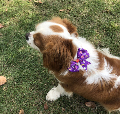 Bow-Ties Pet-Supplies Dog-Accessories Dog-Grooming Bowknot Flower Puppy Adjustable Cute