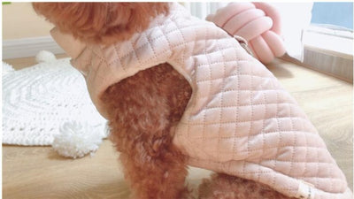 Winter Dog Dress Jackets Sweater Pets-Clothing Dogs-Cot Small Pet-For-Dogs Medium Pet-Cat