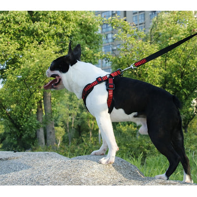 Dog-Harness Pet-Pitbull Reflective No-Pull Training Sport Small Large Medium for Dog-Safety