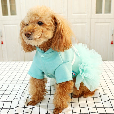 Dresses Tutu Poodle-Clothes Pet-Dog Dogs Small Autumn Spring for Bowknot Teddy Cat