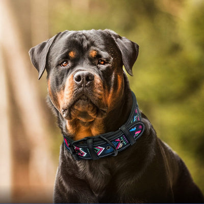 Reflective Nylon Dog Collar Adjustable Pet Collars For Medium Large Dogs Pitbull German Shepherd
