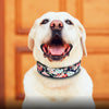 Reflective Nylon Dog Collar Adjustable Pet Collars For Medium Large Dogs Pitbull German Shepherd