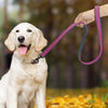 Lead Leash-Harness Training-Rope-Belt Pet-Supplies Puppy Dog Walking Running Large Pet-Dog