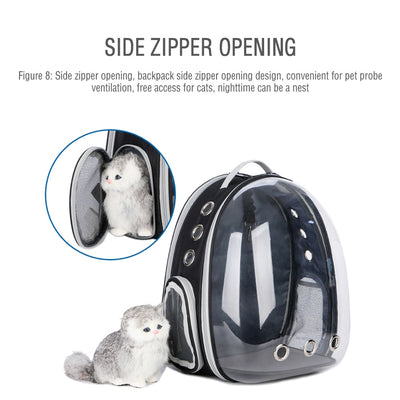 Portable Cat Foldable Multi-Function Dog Carrier Bag Large