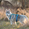 Vest Harnesses Reflective Night-Safety-Pet Adjustable German Shepard Big Dogs Nylon