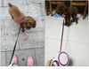 Leashes Pet-Leads Dog-Traction-Rope Retractable Automatic Brand ABS 3-Meter High-Grade