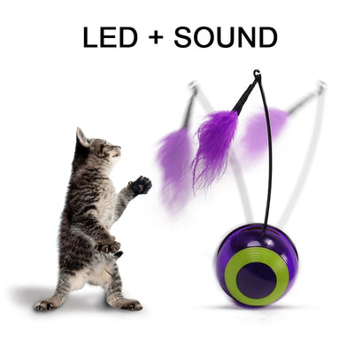 Cat-Toy Cat Puzzle Pet-Fun Kitty Plush Interactive Scratching Electric Automatic Rotating-Play