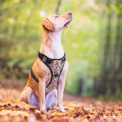 Vest Harnesses Reflective Dogs No-Pull Printed K9 Large Pet-Puppy Nylon Adjustable Medium