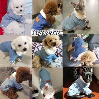 Costume Coat Jeans Pet-Clothing Dog-Jacket Puppy Poodle-Bichon Chihuahua Winter Denim