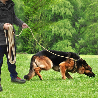Leads-Rope Leashes Dog-Tracking-Leash Pet-Training Dogs Walking Durable Large Long Nylon