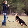 Dog Lead Leashes Mountain-Climbing-Rope Pet-Training Reflective Nylon Small Long Large