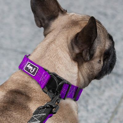 Leash-Set Pet-Collar Reflective Dogs Running Large Lead Nylon Walking Medium