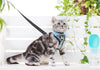 Hoopet Pet Cat Harness Vest Leash Suit Navy Blue Pet Harness  Collar Cute Puppy Cat Jacket