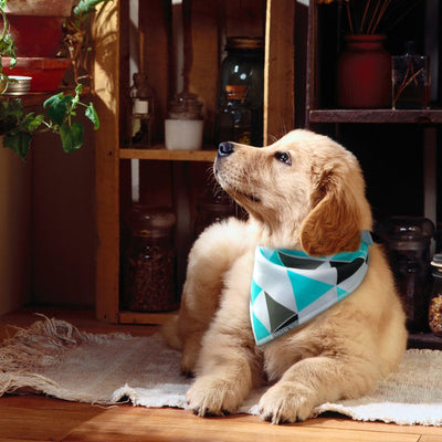 Scarf Collar Dog-Bandana Pet Grooming-Accessories Dogs Large Medium Fashion-Design Cotton