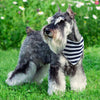 Scarf Collar Dog-Bandana Pet Grooming-Accessories Dogs Large Medium Fashion-Design Cotton